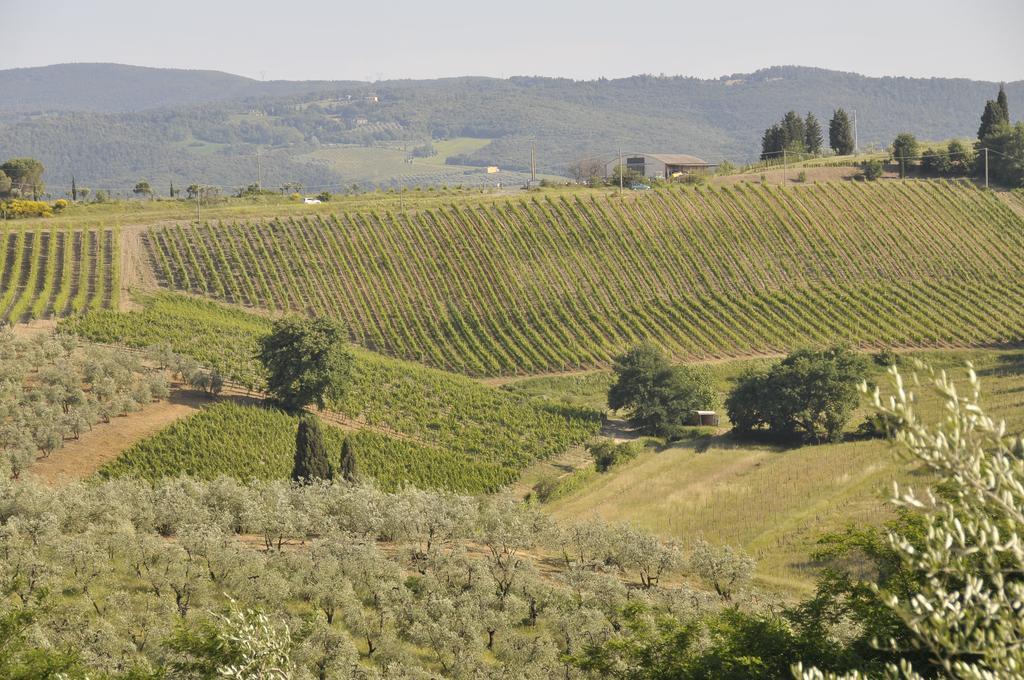 Agriturismo Renai E Monte II Гамбасси-Терме Экстерьер фото